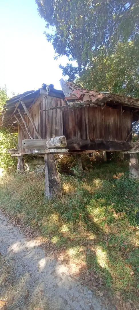 Vista exterior de Finca rústica en venta en Nava