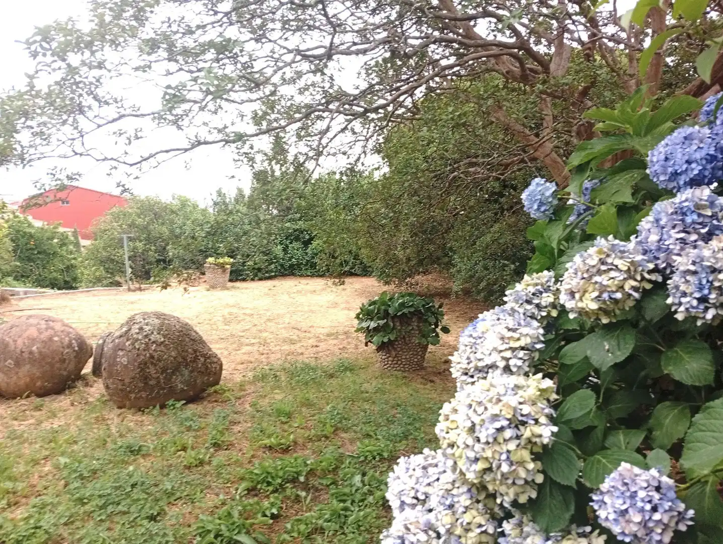Jardín de Casa o chalet en venta en Villanueva de la Vera con Jardín privado y Trastero