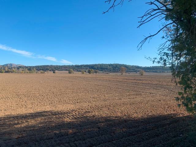 Terreno en Venta en Carretera Ullastret, 1 en Serra de Daró
