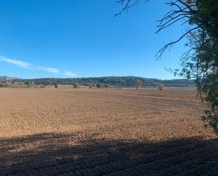 Land for sale in Carretera Ullastret, 1, Serra de Daró