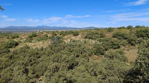 FINCA RÚSTICA CON ALTO VALOR CINEGÉTICO Y PAISAJÍSTICO, immagine 4