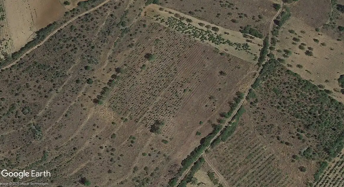 Terreno rústico en venta en Covarrubias, imagen 3