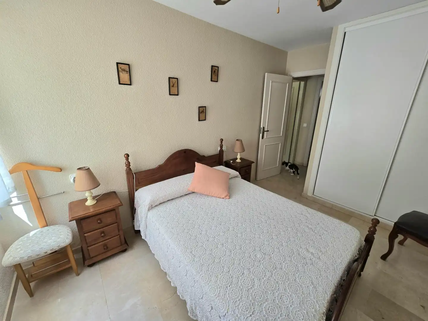 Apartment with pool to rent in Playa de los Boliches, imagen 24