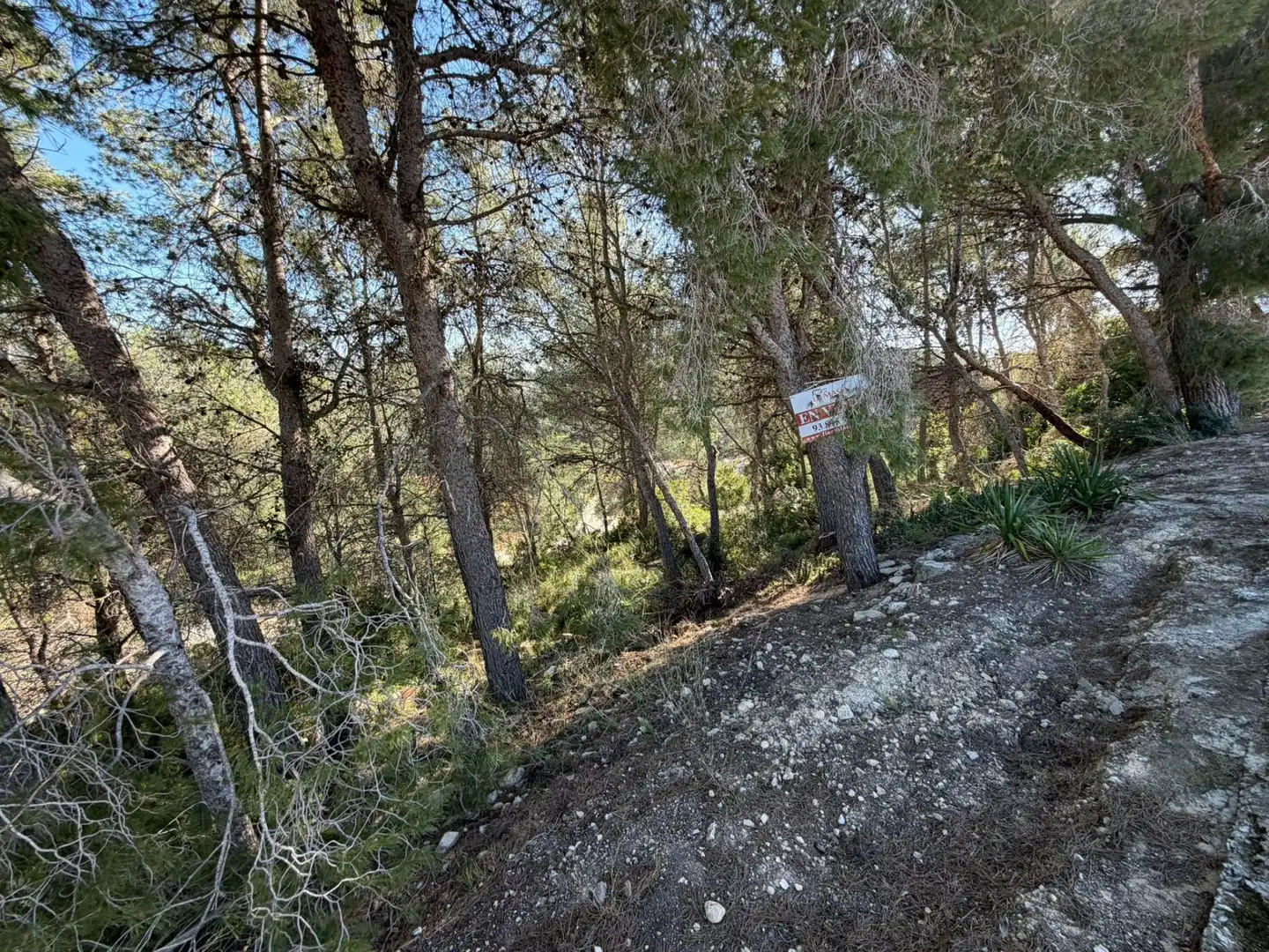Terrenos y solares en venta en Can Lloses - Can Marcer, imagen 4