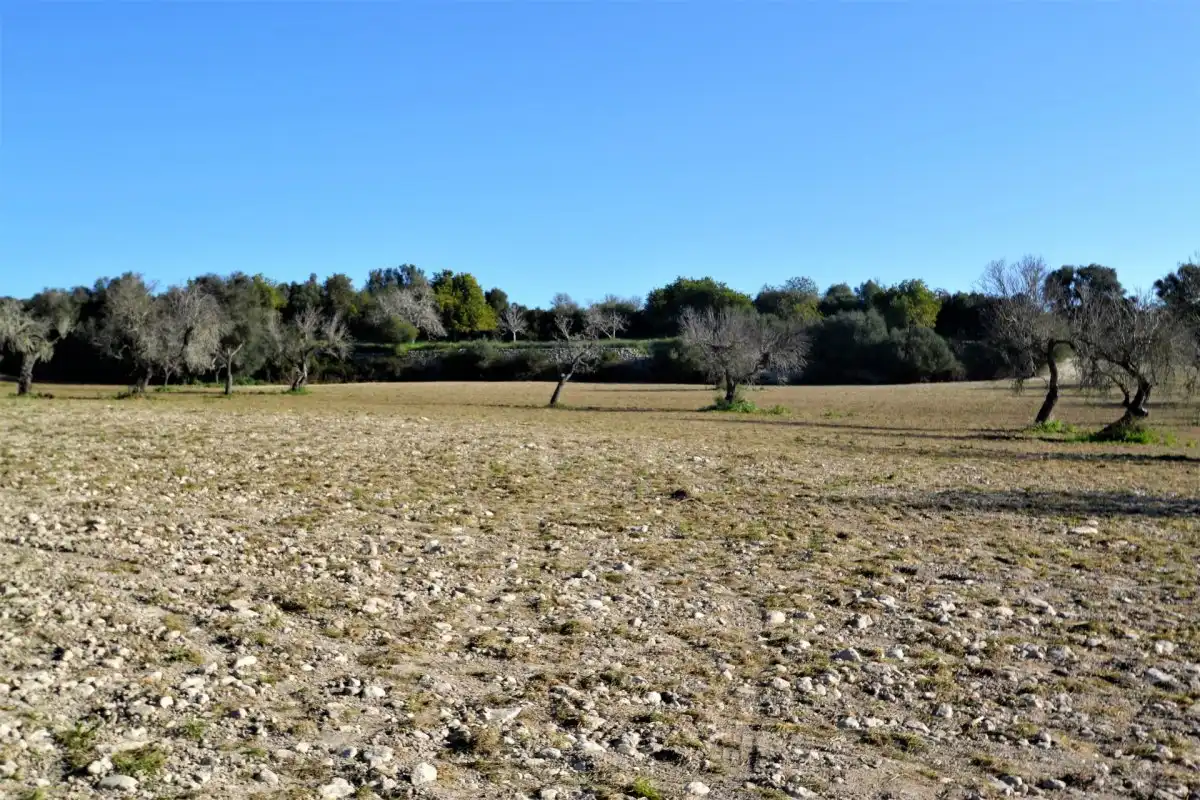 Casa rústica en venta en Llubí, imagen 11