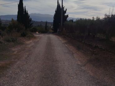 Terreno rústico en venta en L'Olleria