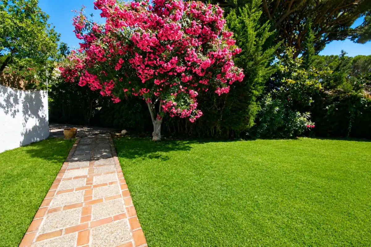 Maison avec piscine à vendre à Calahonda, imagen 29
