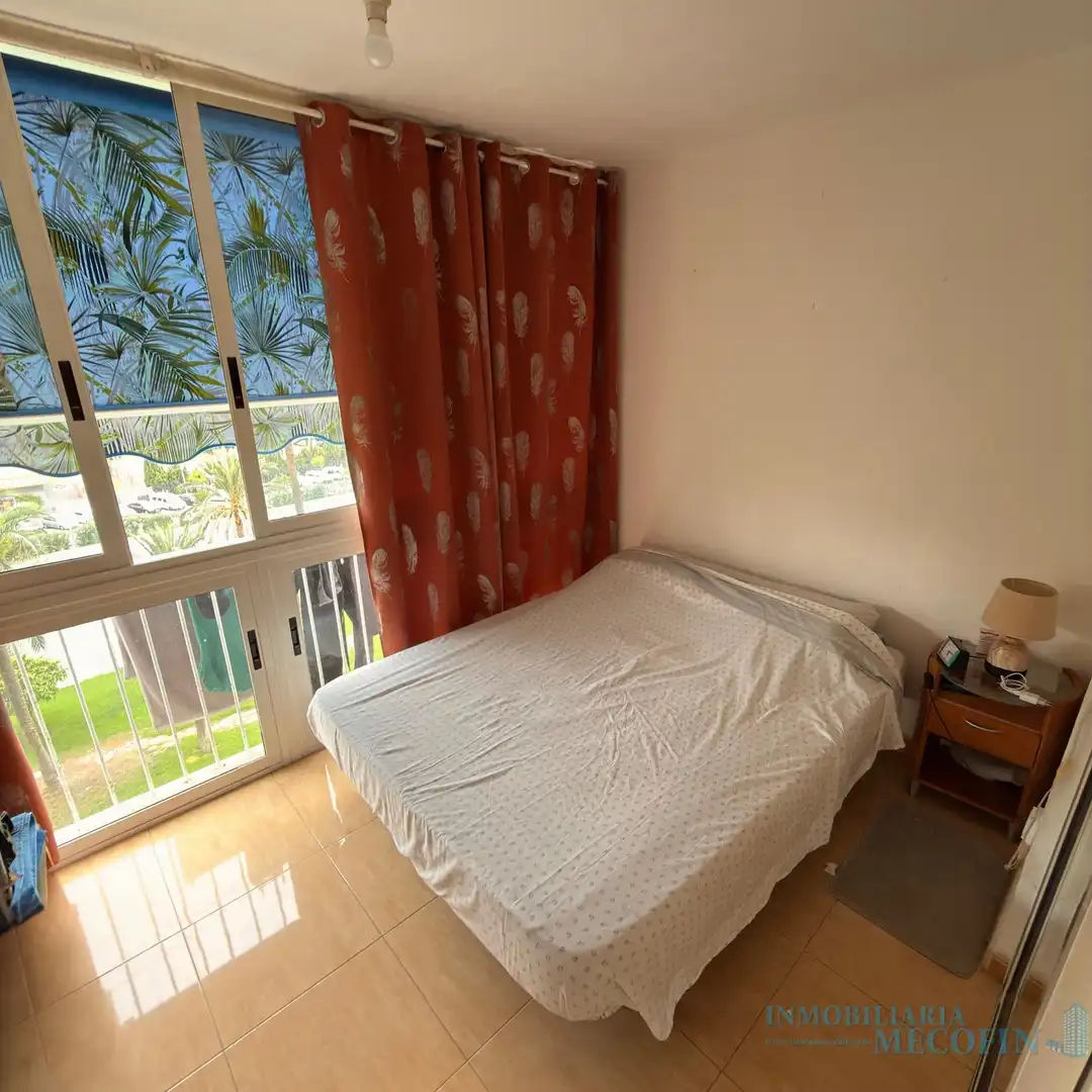 Piso con piscina en venta en Juzgados - Plaza de Toros, imagen 3