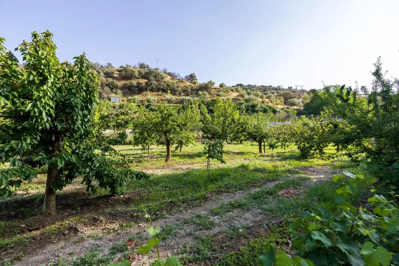 Terreni e lotti in vendita a Paseo la Duquesa 7