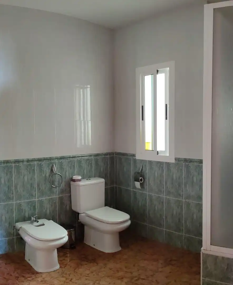 Bathroom of Commercial properties for sale in Lúcar  with Terrace
