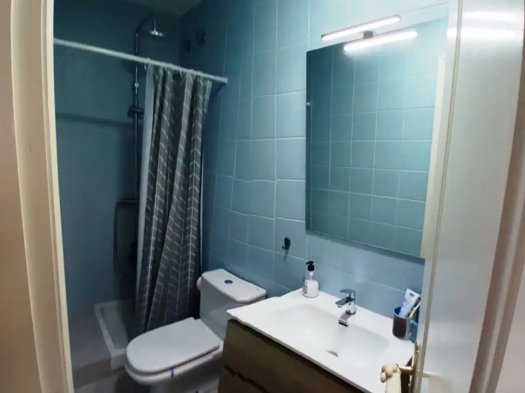 Bany de Casa o xalet en venda en Las Palmas de Gran Canaria amb Terrassa