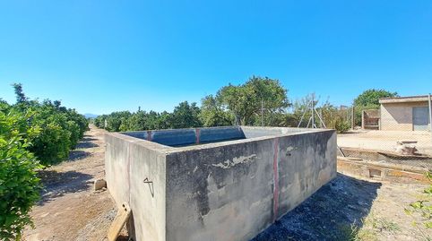 CAMPO DE NAVELINAS EN VENTA, immagine 3