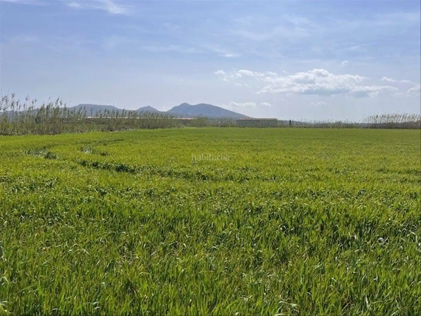 Rural land for sale in Camí Horts de Sant Joan 14, imagen 2