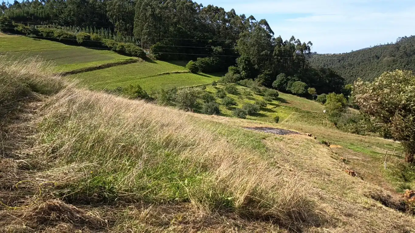 Grundstücke und Bauplätze zum Verkauf in Aldea Argañosa, imagen 13