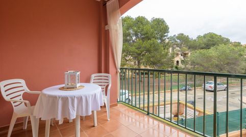 Photo 5 of Apartments for rent in Sa Torre, Llucmajor