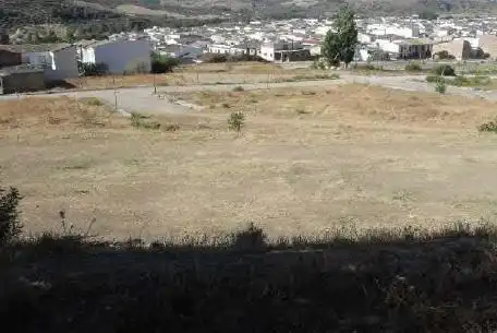 Terreny rústic en venda a Algodonales, imagen 2