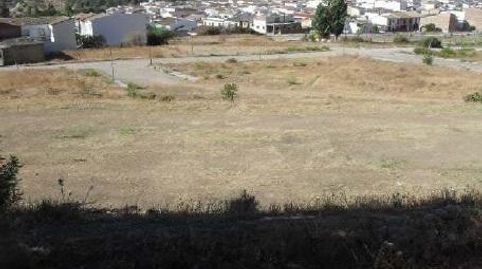 AMPLIO TERRENO URBANO NO CONSOLIDADO  ALGODONALES, immagine 2