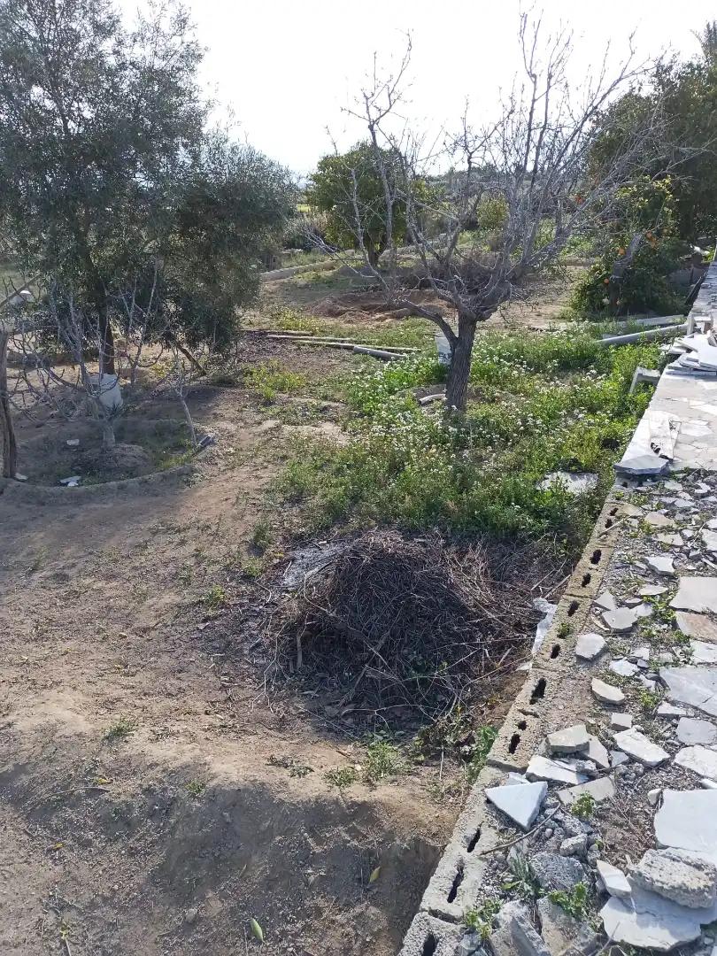 Villa con giardino in vendita a La Algoda - Matola - Llano de San José, imagen 29