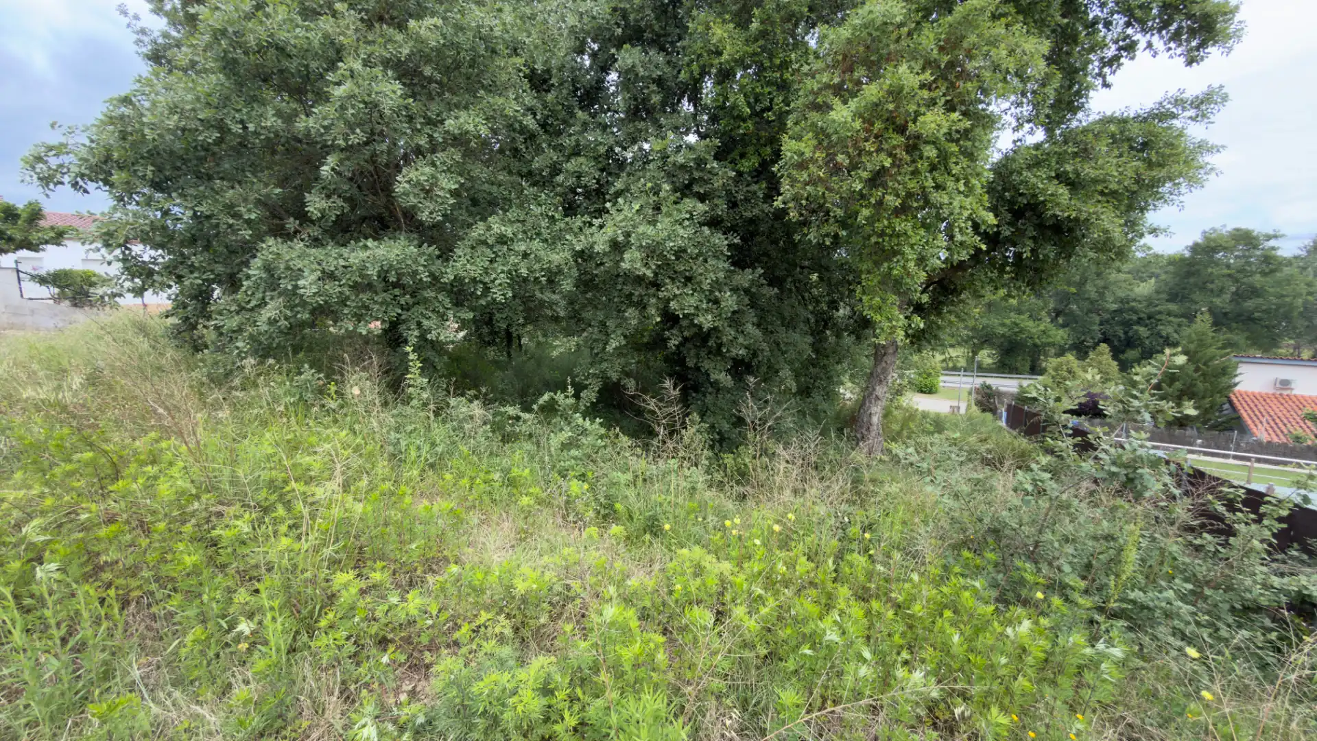 Terreno residencial en venta en Carrer Gregal, imagen 3