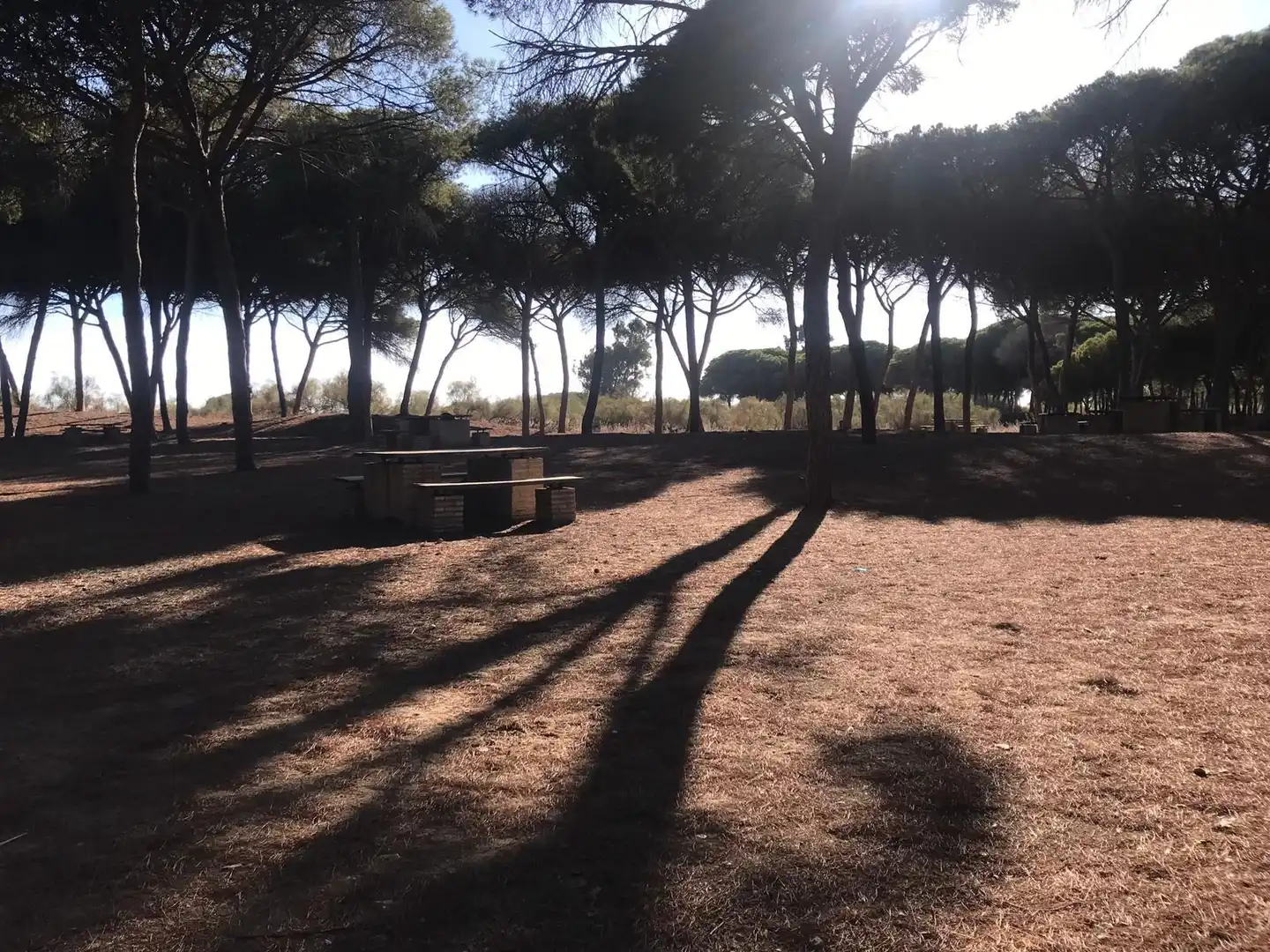 Garden of Houses for sale in Isla Cristina  with Air Conditioner, Heating and Terrace