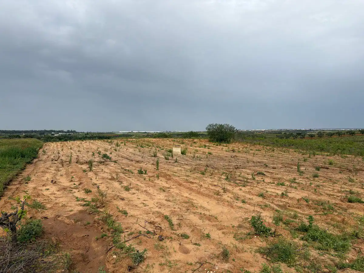 Terreny rústic en venda a Bollullos Par del Condado, imagen 6