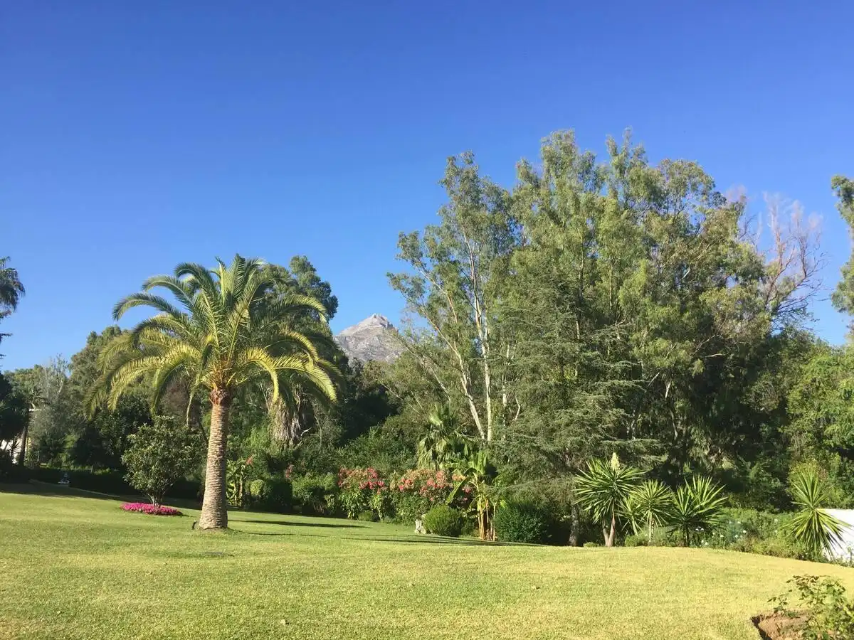 Jardí de Apartament en venda en Marbella amb Aire condicionat, Terrassa i Piscina
