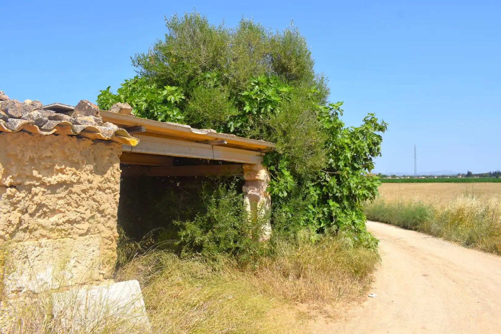 Rural land for sale in Sa Pobla