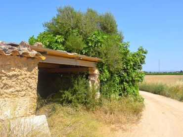 Terreny rústic en venda a Sa Pobla