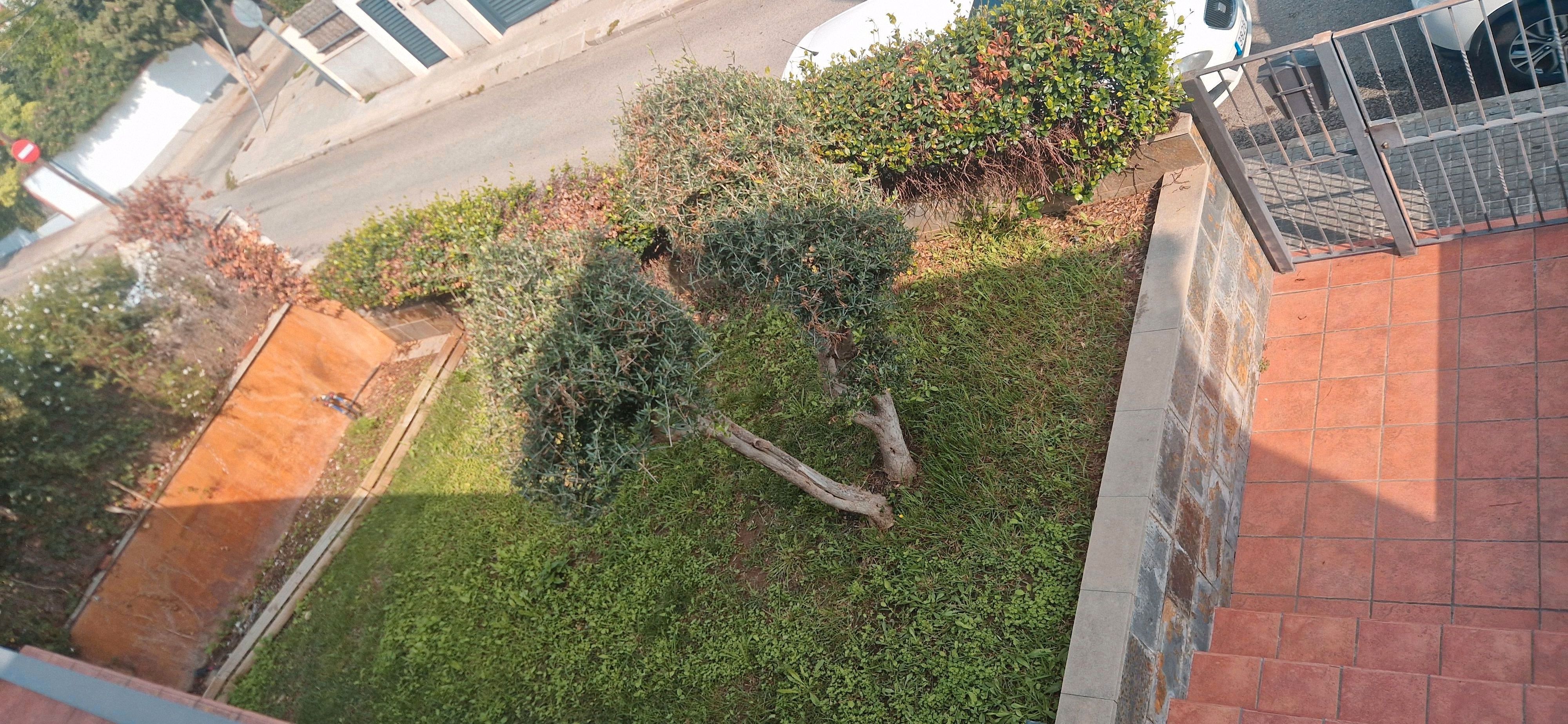 Casa o xalet en venda en Sant Boi de Llobregat amb Aire condicionat, Calefacció i Jardí privat
