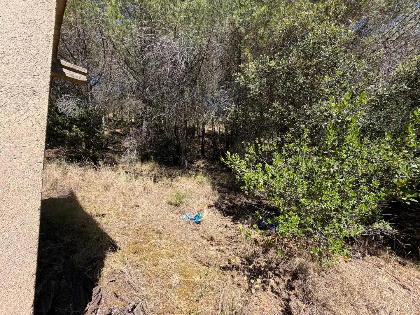 Country house with pool for sale in Cami de La Pedrera, imagen 44