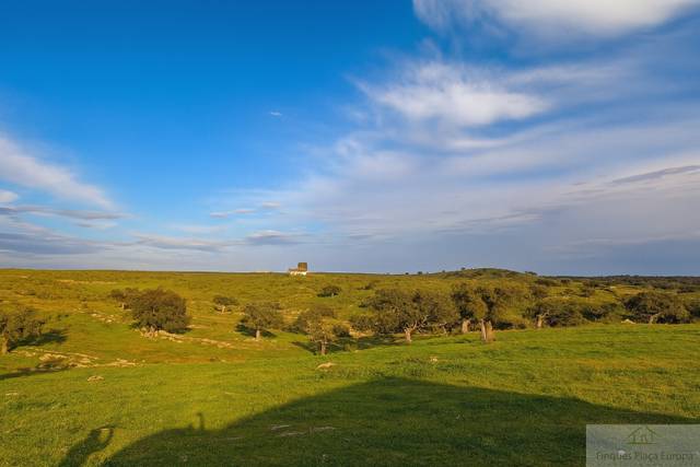 Terreno residencial en Venta en Salorino