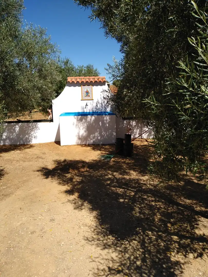 Casa rústica en venda a Arcos de la Frontera, imagen 5
