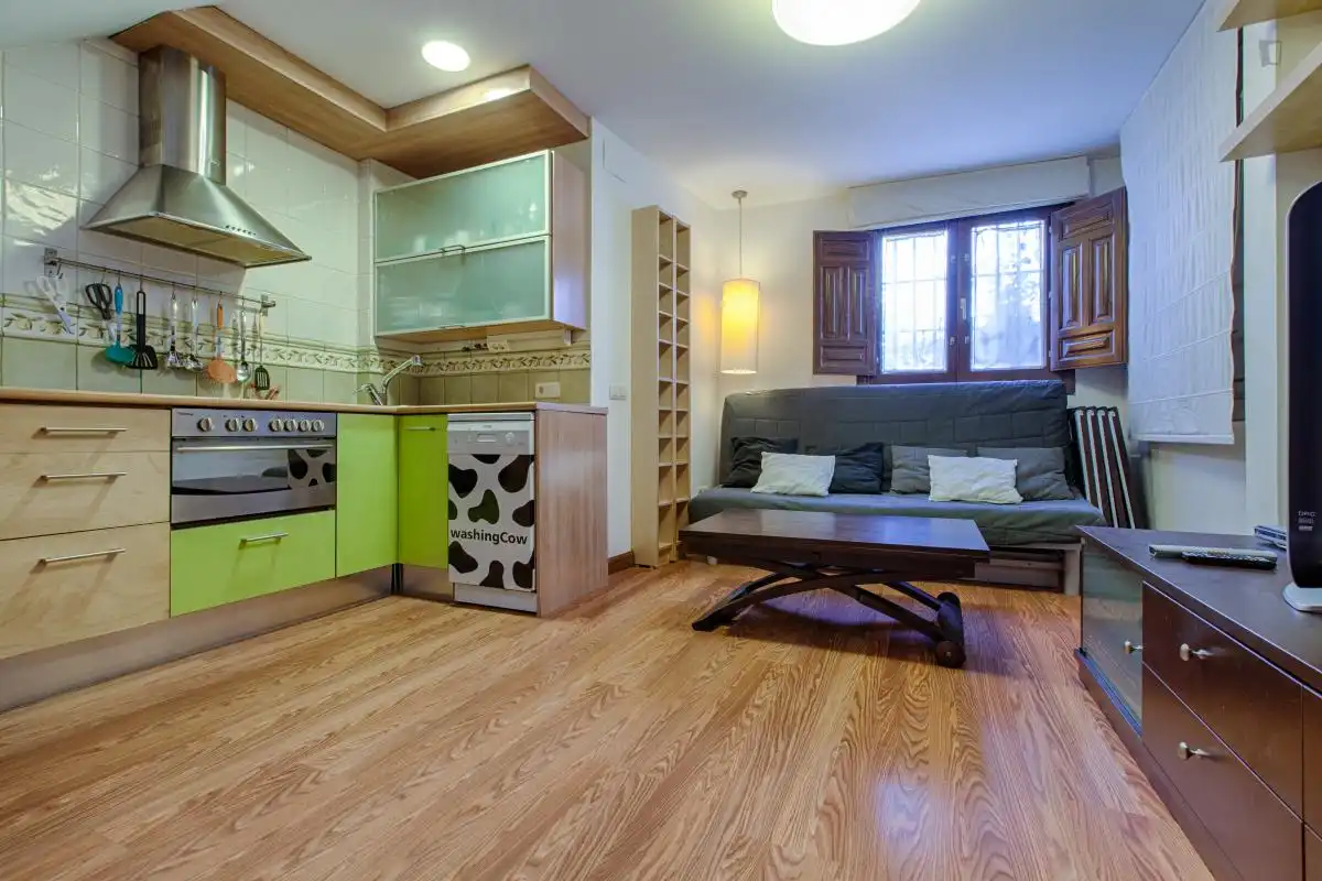 Apartments for rent in San Matías - Realejo