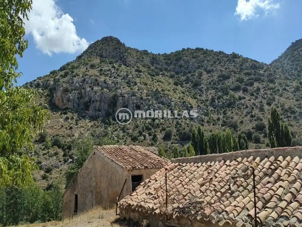 Land for sale in Puebla de Don Fadrique