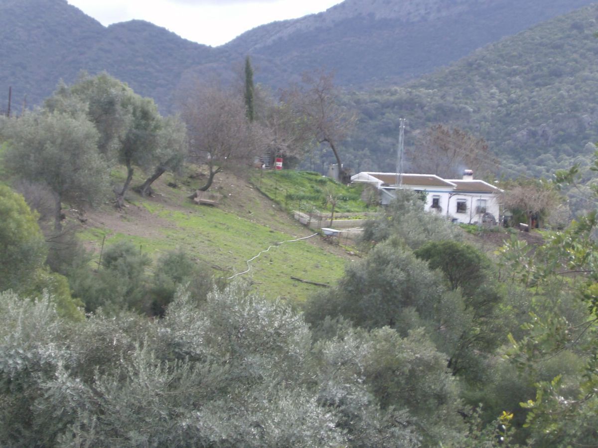 Garden of Country house for sale in Benaocaz