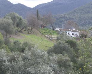 Garden of Country house for sale in Benaocaz