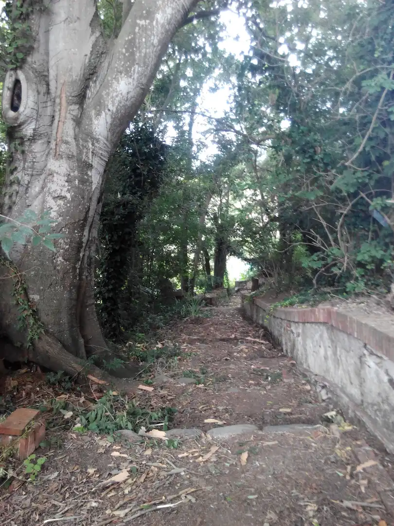 Finca rústica en venta en Sant Celoni
