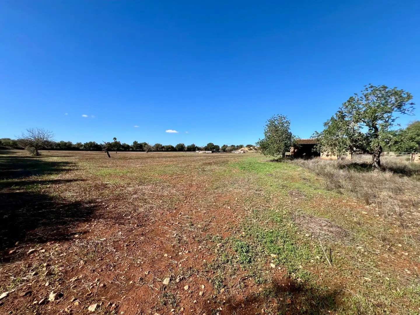 Lands and plots for sale in Zona Rústica - Interior, imagen 8