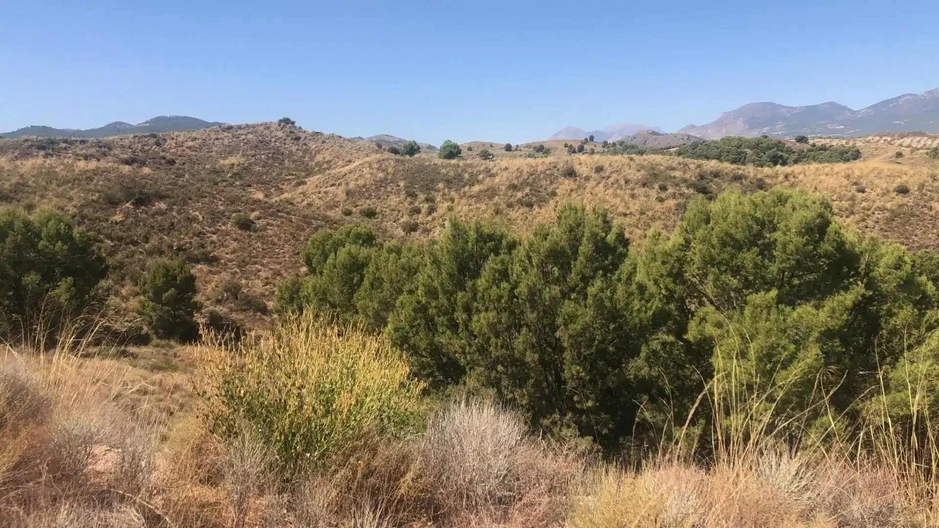 Residential for sale in Lorca