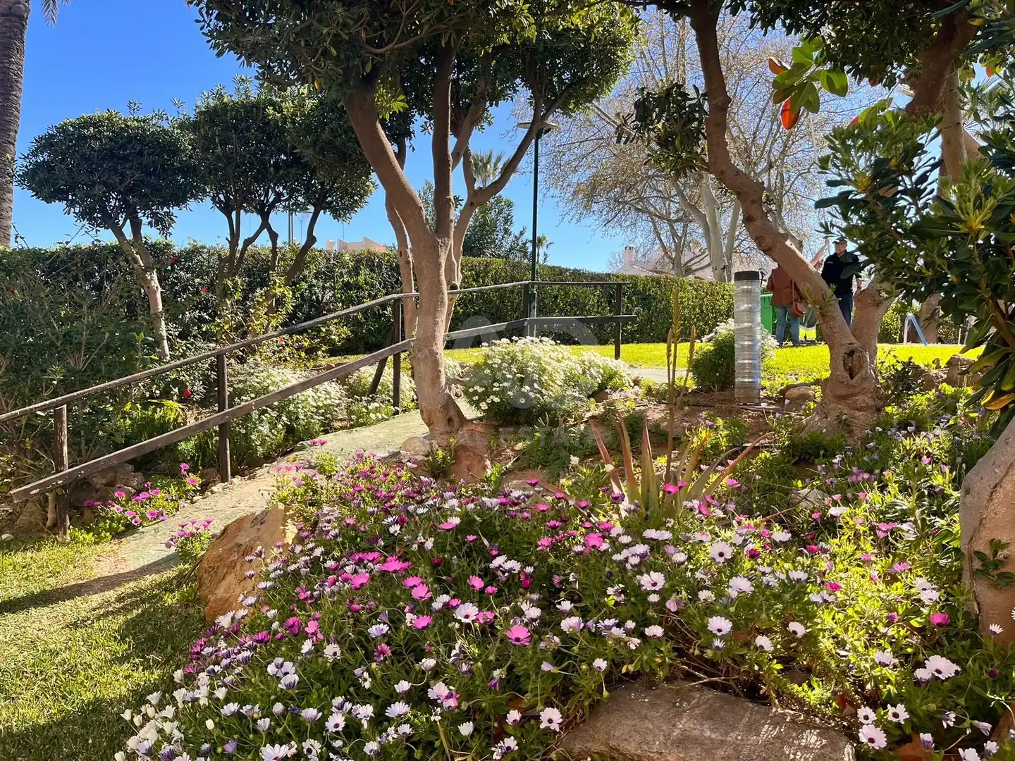 Garden of Flat for sale in Málaga