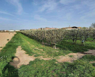 Land for sale in Alfaro