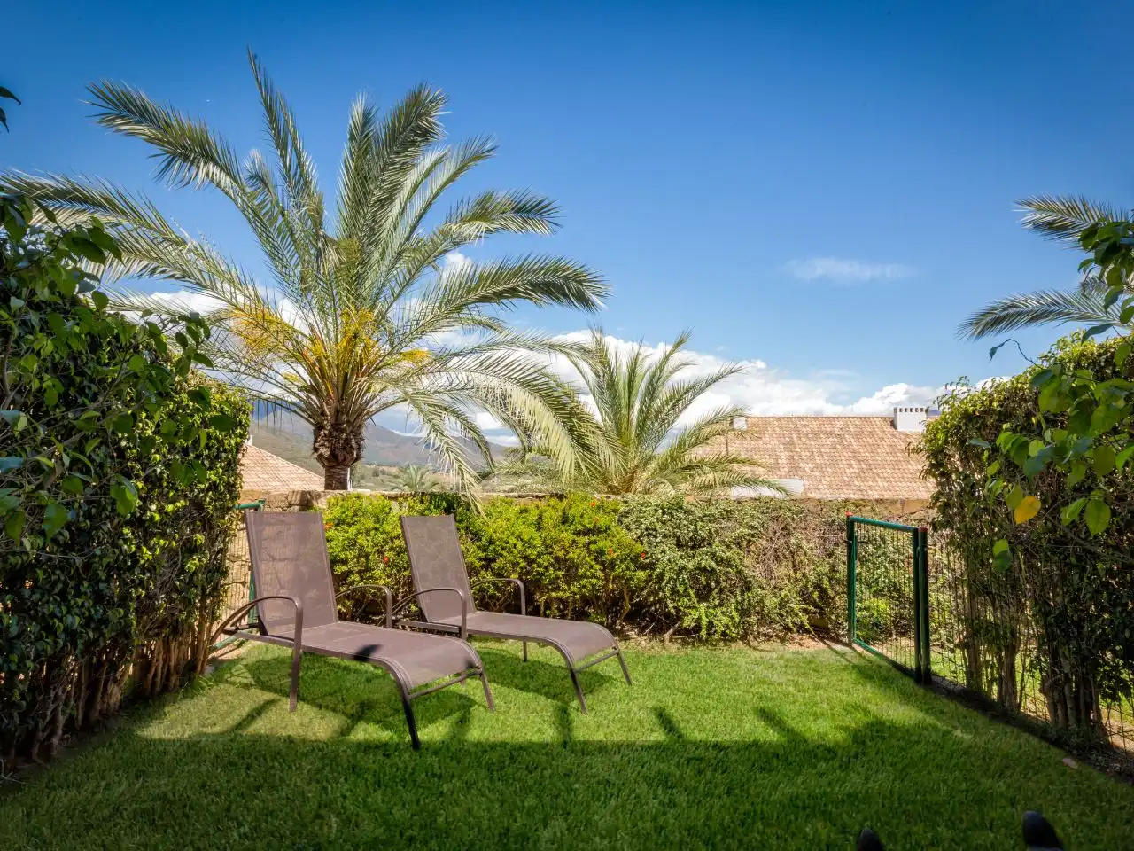 Haus mit Pool zur Miete in Calle Monte 100, imagen 38