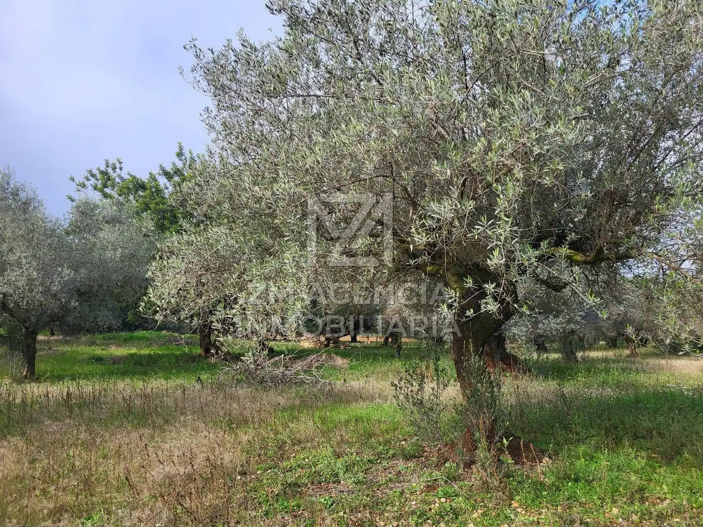 Terreno rustico in vendita a Cabanes, imagen 16
