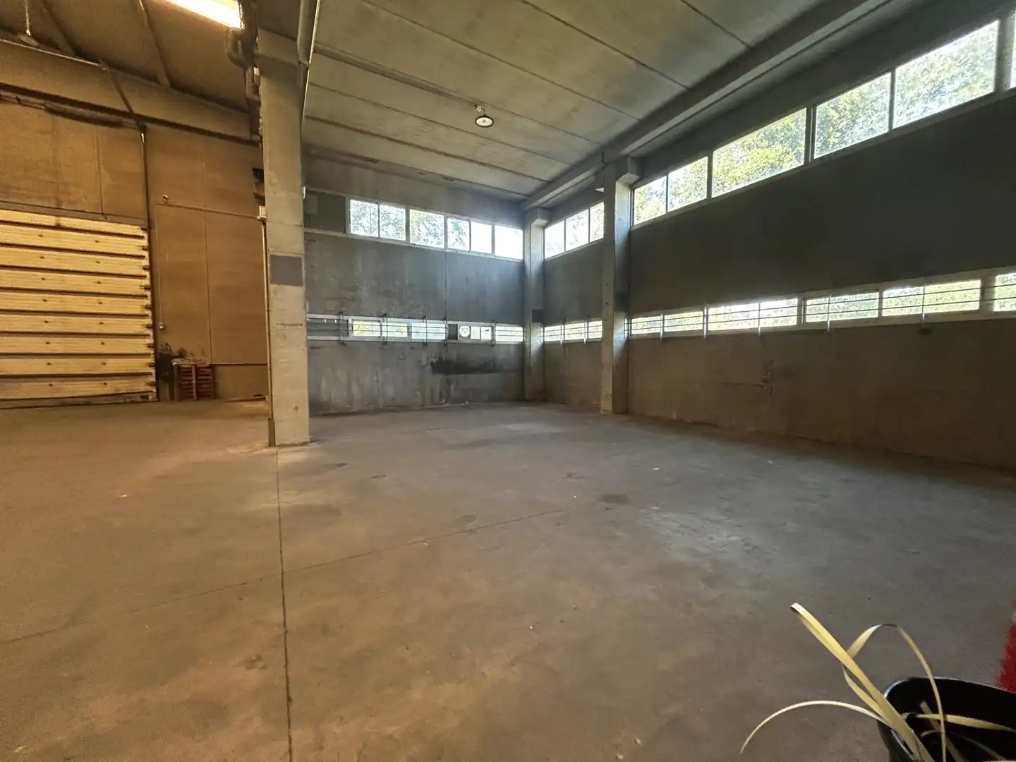 Industrial buildings for rent in Massanes