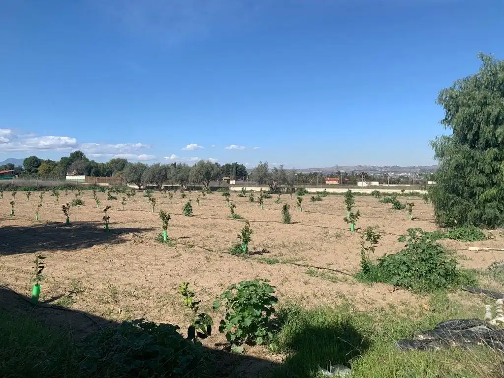 Casa o xalet en venda en Murcia amb Aire condicionat, Calefacció i Terrassa