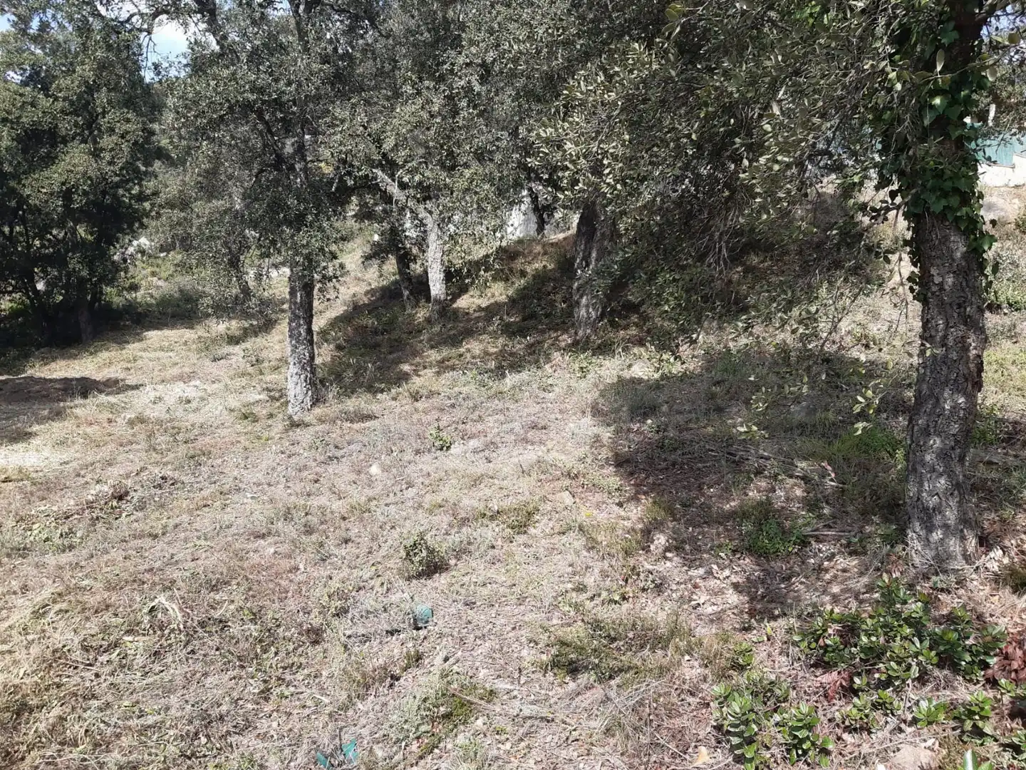Terreno residenziale in vendita a SERRA LLONGA 50, imagen 6