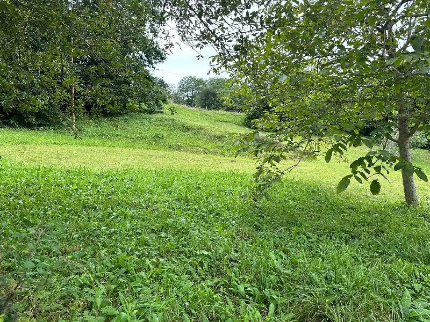 Terreno rústico en venta en Valdáliga - Mies de Concha s/n, imagen 2