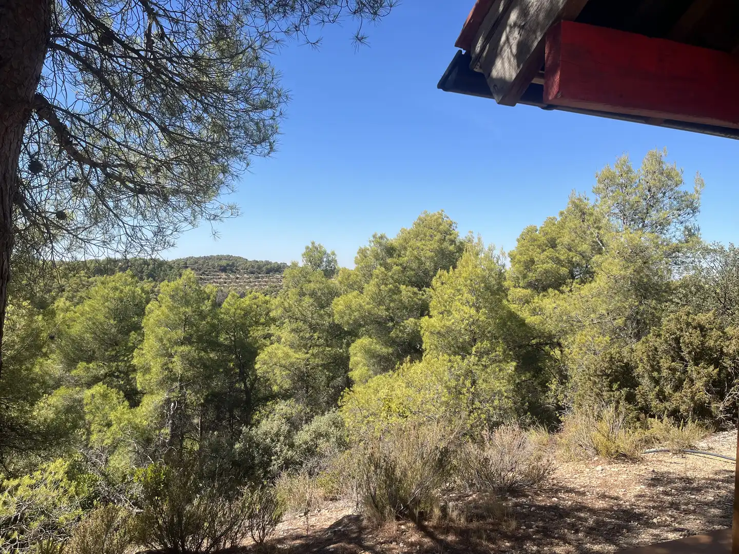 Finca rústica en venta en La Pobla de Cérvoles, Lleida
