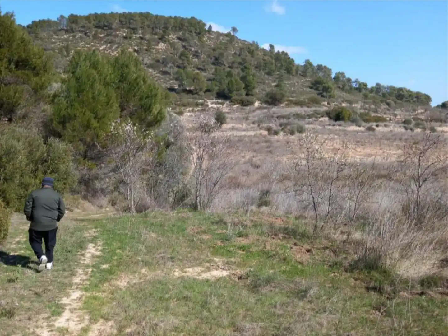 Terreno en venta en Corbera d'Ebre