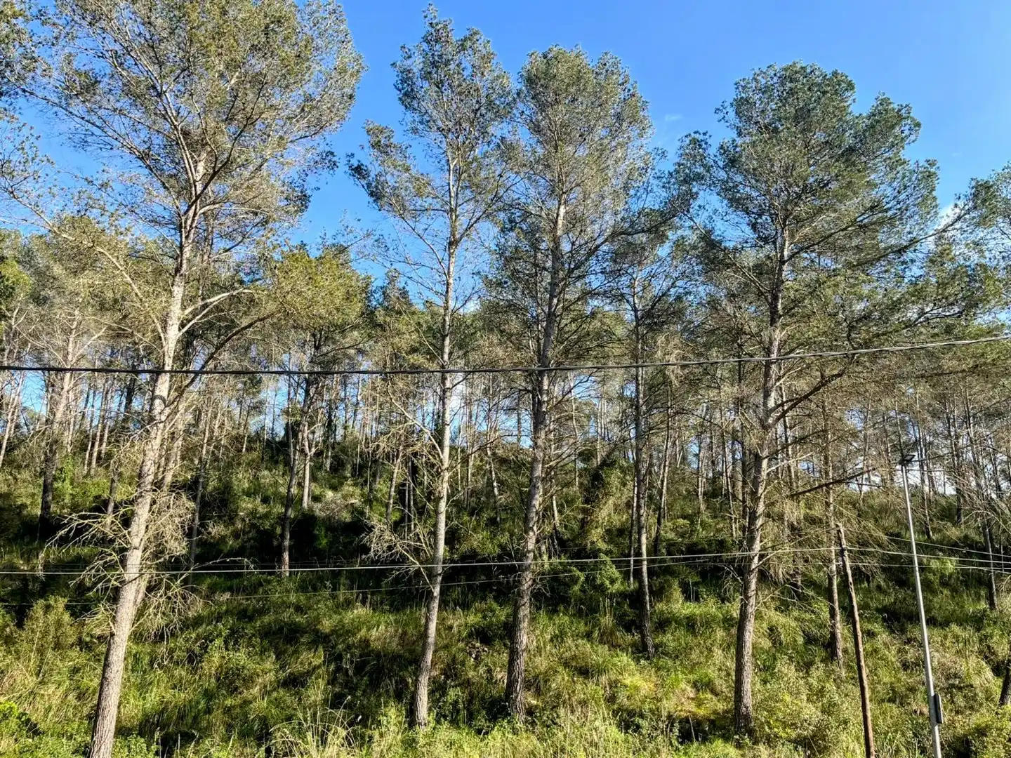 Terreno residencial en venta en Canyelles, imagen 4
